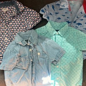 4 2T button down shirts